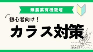 市民農園における鳥やカラスへの効果的な対策とは？実践方法を徹底解説！ 